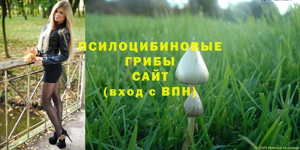 бошки Армянск