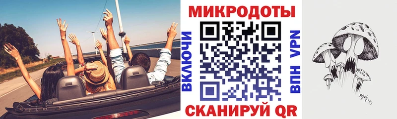 KRAKEN зеркало как найти наркотики Вилючинск Псилоцибиновые грибы Magic Shrooms